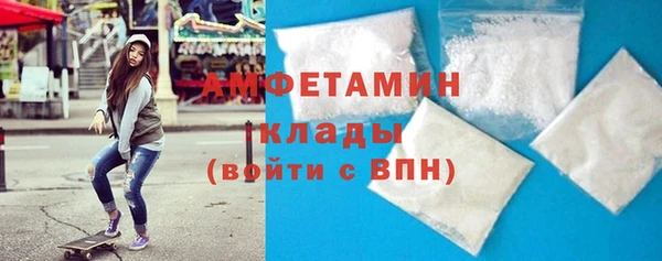 индика Арсеньев