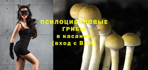 таблы Армянск