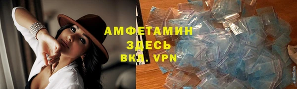 индика Арсеньев