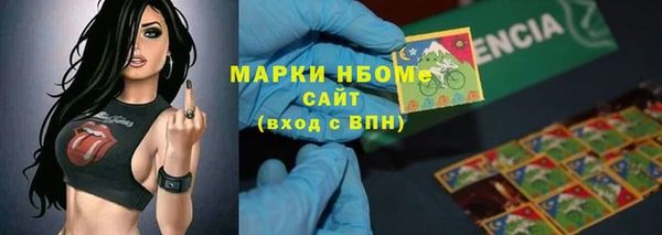 индика Арсеньев