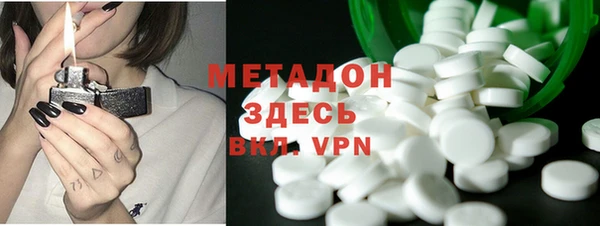 индика Арсеньев