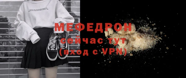 индика Арсеньев