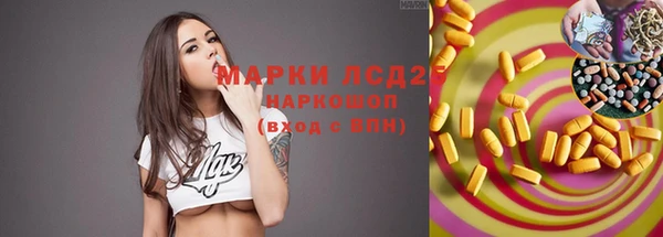 Альфа ПВП Аркадак