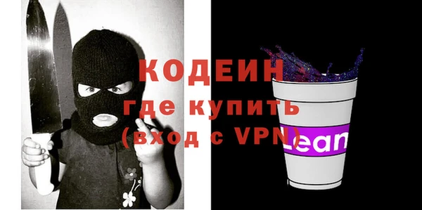 индика Арсеньев