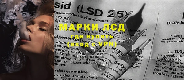 индика Арсеньев