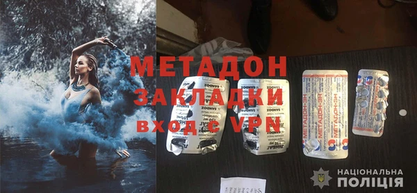 индика Арсеньев
