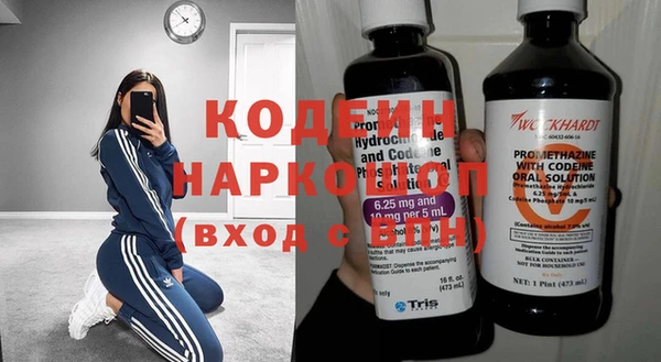 индика Арсеньев