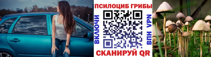 купить  цена  Североморск  Галлюциногенные грибы Magic Shrooms 